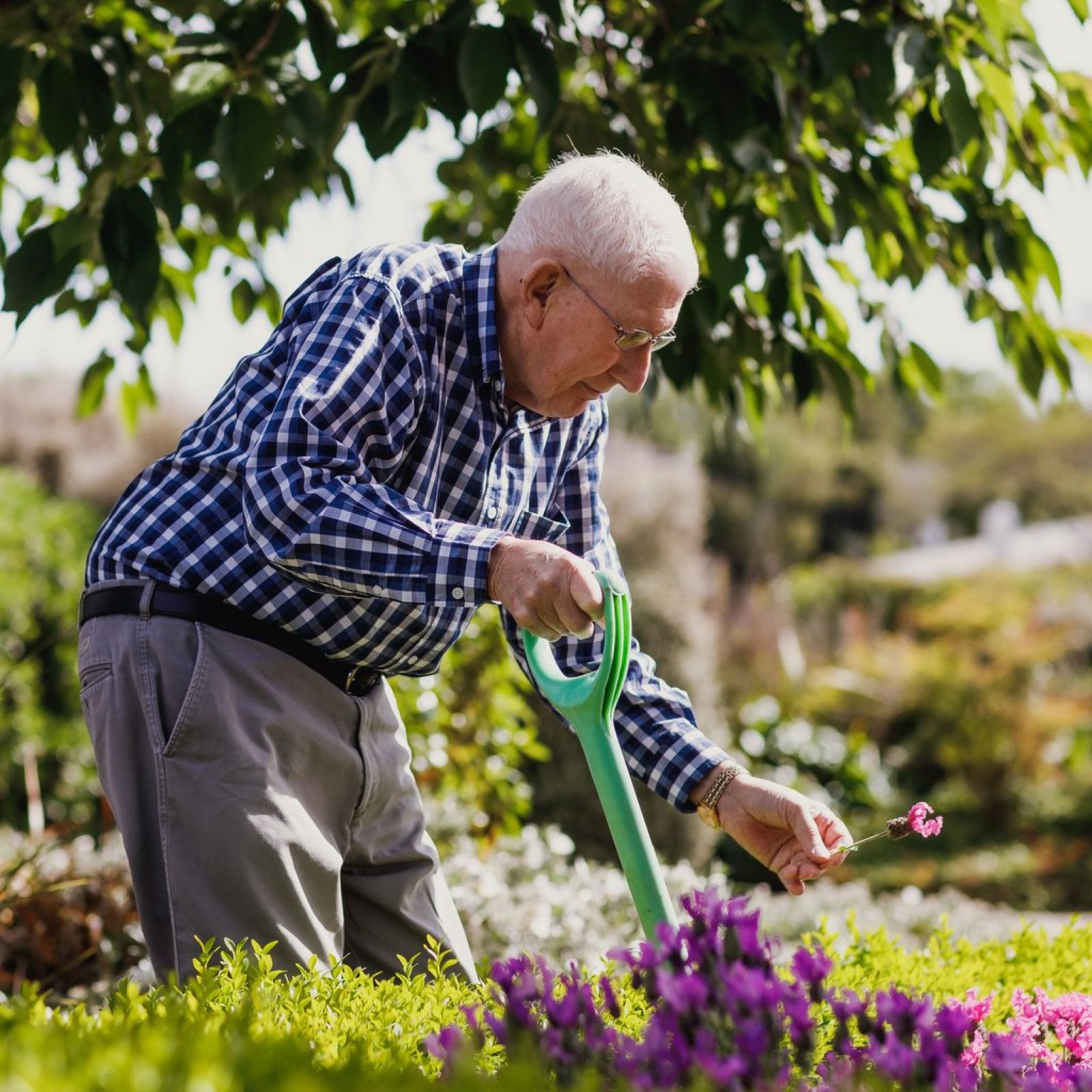 Jack Inglis Aged Care Home Motueka